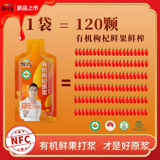 劲家庄有机枸杞原浆600ML/盒（30ML*20） 商品图6