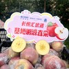 现摘现发山西冰糖心红富士苹果，一口脆甜爆汁，凝结了阳光、黄土与清甜的天然馈赠 商品缩略图0