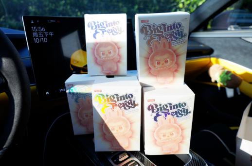 升级版 专用指定盲盒玩具 清仓（下单认可本次交易不涉及品牌，不涉及赔付） 商品图1