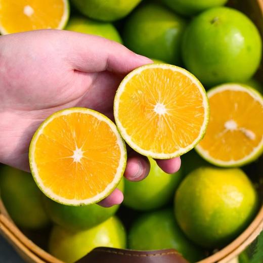 云南当季农家新鲜薄皮冰糖橙 商品图1