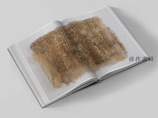 Diana Scherer: Interwoven - Exercises in Root System Domestication / 黛安娜·谢勒：交织——根系驯化练习 商品图4