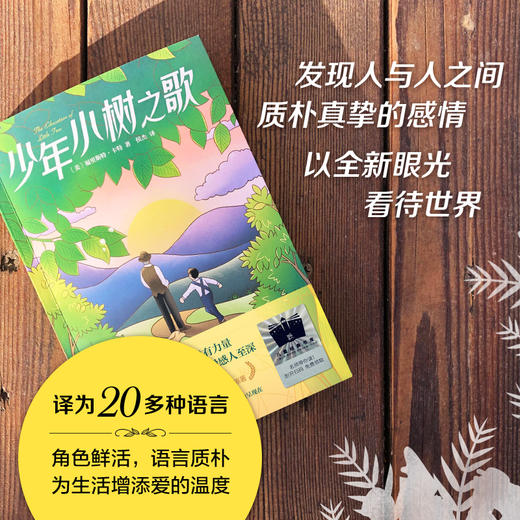 《少年小树之歌》百班千人70期六年级6年级名师推荐课外书必读正版授权（按需加入购物车自选） 商品图1