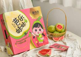 【会员21.5/斤】脆吉吉福建奶油草莓红心芭乐