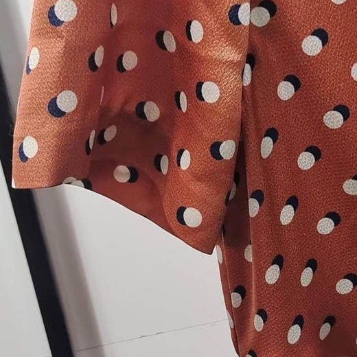 VIVIAN LIU薇薇安刘A2534101 夏季女装法式圆点收腰短袖连衣裙 商品图2