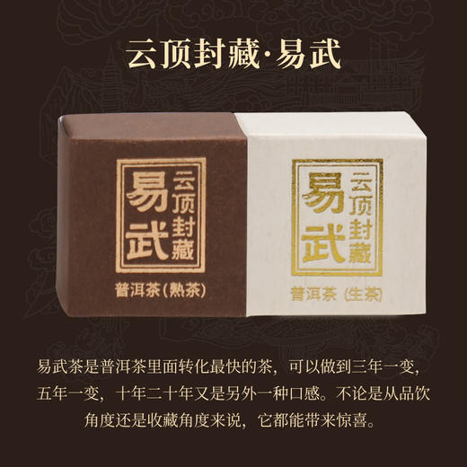 云顶印象封藏2021龙珠 56g(商务装) 商品图4