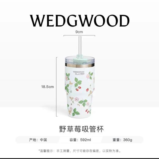 WEDGWOOD威基伍德吸管杯保温杯咖啡杯 商品图1