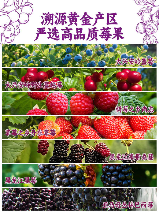 每日乔安·每日7莓原浆640ml配料干净不加1滴水 只有7种莓果 蓝莓草莓蔓越莓巴西莓树莓桑葚黑莓 商品图8