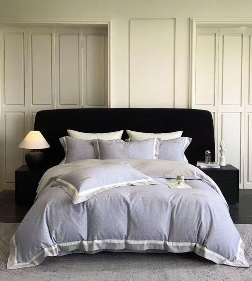 【春上新】10楼 恐龙 初弦 澳棉超柔刺绣磨毛四件套 200*230cm   吊牌价2698   活动价659元 商品图0