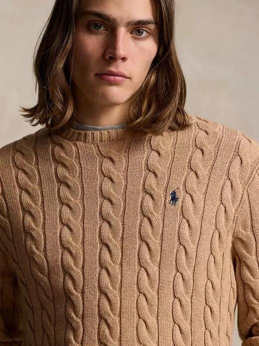 Ralph Lauren 拉夫劳伦 毛衣男  MNPOSWE16820478-200 棕色. 商品图2