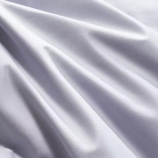 【云粉节】【满300减30】【送2000元线下无门槛券】10楼富安娜 A类抗菌鹅绒被 \ 富有安康 吊牌价10800-21800元   活动价2999-3999元 商品图3