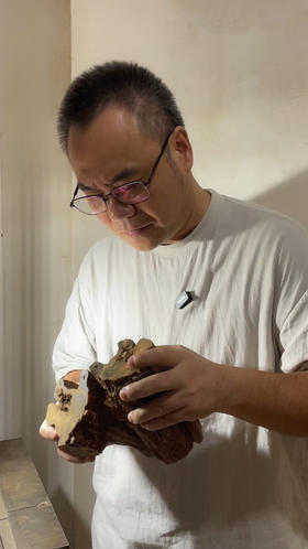 沉香开料，如同一场与自然的对赌。