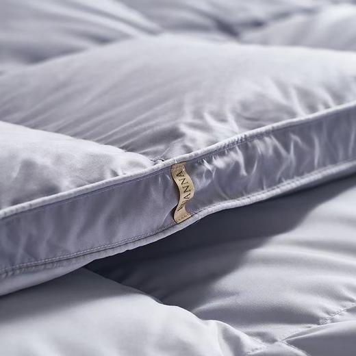 【云粉节】【满300减30】【送2000元线下无门槛券】10楼富安娜 A类抗菌鹅绒被 \ 富有安康 吊牌价10800-21800元   活动价2999-3999元 商品图4