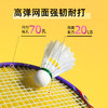 [新品·2支装·送6球] 友谊729 7127铁合金分体羽毛球拍 耐打耐磨专业羽毛球拍大童成人室内外通用套装 商品缩略图2