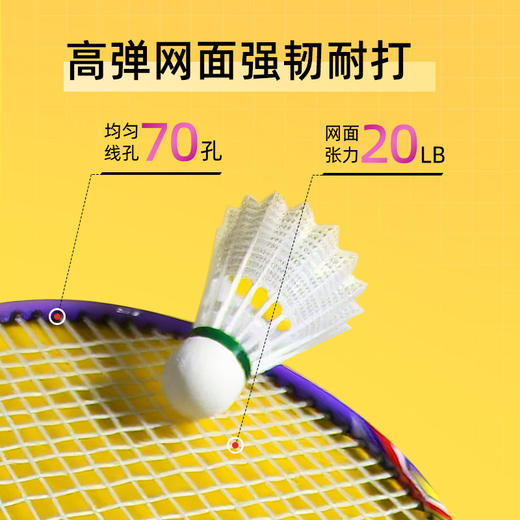 [新品·2支装·送6球] 友谊729 7127铁合金分体羽毛球拍 耐打耐磨专业羽毛球拍大童成人室内外通用套装 商品图2