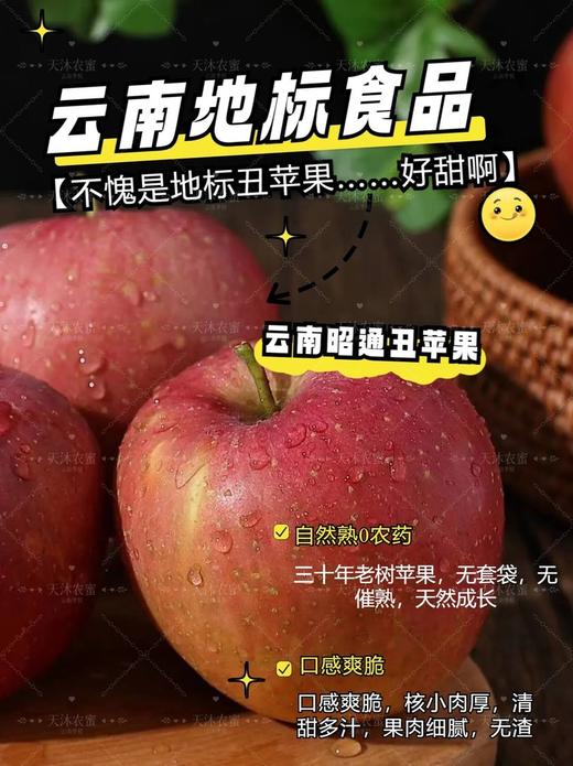 云南昭通丑苹果 口感爽脆 核小肉厚 清甜多汁 果肉细腻无渣 商品图0