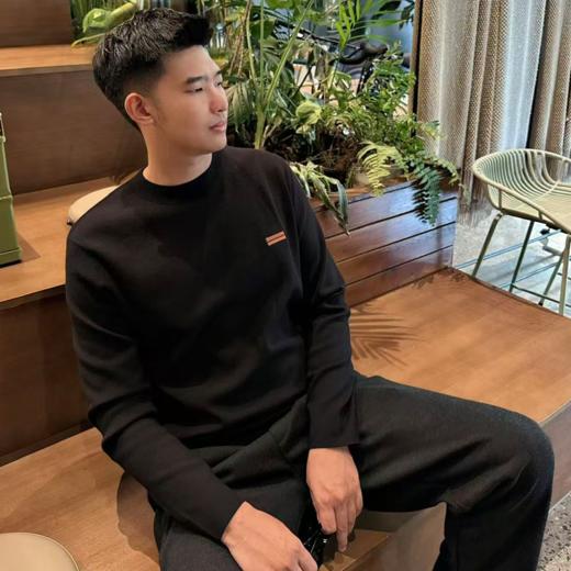 严选 | 杰尼亚同款 圆领针织套头衫（同厂同面料） 商品图2