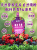 每日乔安·每日7莓原浆640ml配料干净不加1滴水 只有7种莓果 蓝莓草莓蔓越莓巴西莓树莓桑葚黑莓 商品缩略图4