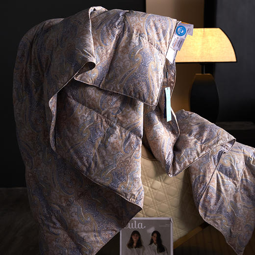 【云粉节】10楼 安睡宝 安芯95%羽绒加厚冬被 吊牌价9999-10999元 活动价1799-1999元 商品图1