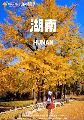 【湘南时光】高铁4天