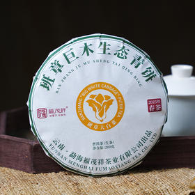 【班章巨木生态青饼】2025年勐海班章普洱生茶200g饼茶