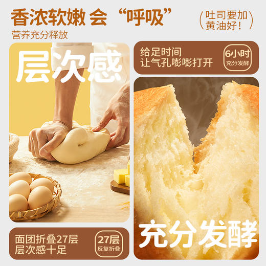 【厚切黄油吐司500g（8枚装）*2箱】一只小叉叉(多口味可选）绵软细腻 浓郁黄油 商品图3