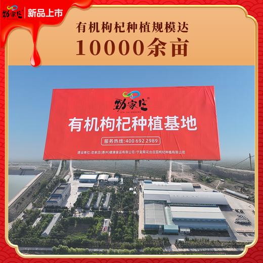 劲家庄有机枸杞原浆600ML/盒（30ML*20） 商品图8