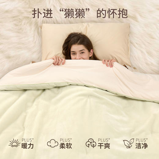 JACE獭獭被软糯蓬弹冬季暖绒被芯保暖 yb1028024 商品图1