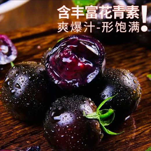 寿光 紫龙樊番茄 商品图1