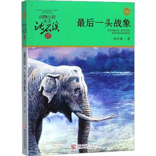 【独家旧书3折】儿童经典文库 最后一头战象  二手书籍（新疆 西藏 甘肃 青海 海南不包邮）bj 商品图0