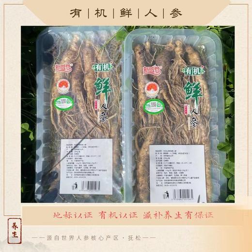 热卖中！！2025新鲜上市！长白山脉核心产区抚松有机鲜人参 商品图4