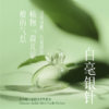 茶香师中国茶世界茶香水系列50ml：碎银子/白毫银针/碧螺春/铁观音/小青柑/大吉岭茶 /薄荷茶/奶茶/抹茶/商队茶 商品缩略图2