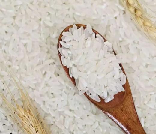 【活动：买30斤稻花香2号 送7斤碎米】五常大米 鸭田稻花香2号&中科发5号 商品图3