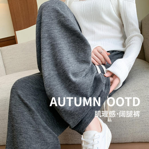 H559阔腿裤秋冬季新款高腰显瘦宽松直筒裤子灰色休闲长裤女装新款新品 商品图1