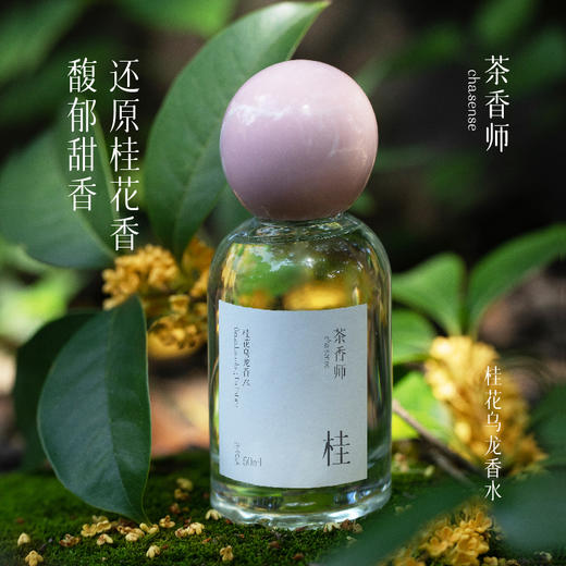 茶香师桂花乌龙香水50ml 商品图0