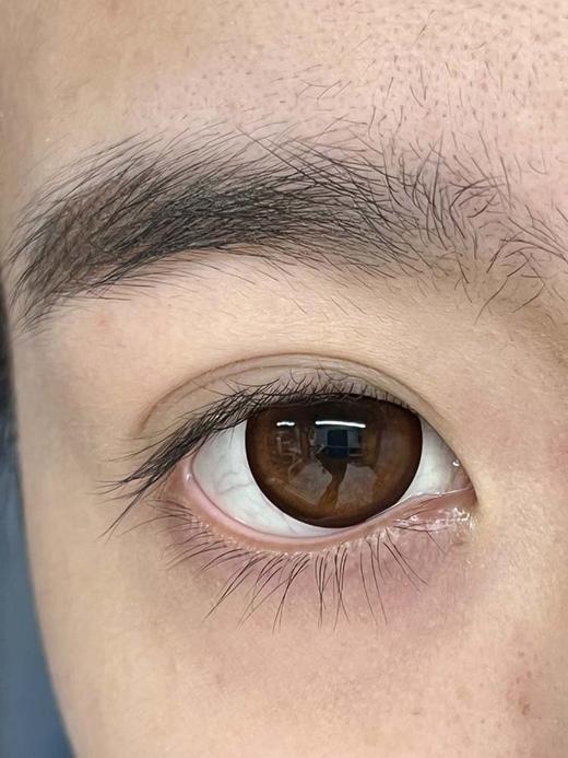 Jumicon 半年抛 曼丁蜜橘 直径14.5mm  商品图1