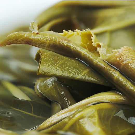 云鼎昌【2021年昔归】2021年临沧昔归古树纯料普洱生茶200g 商品图1