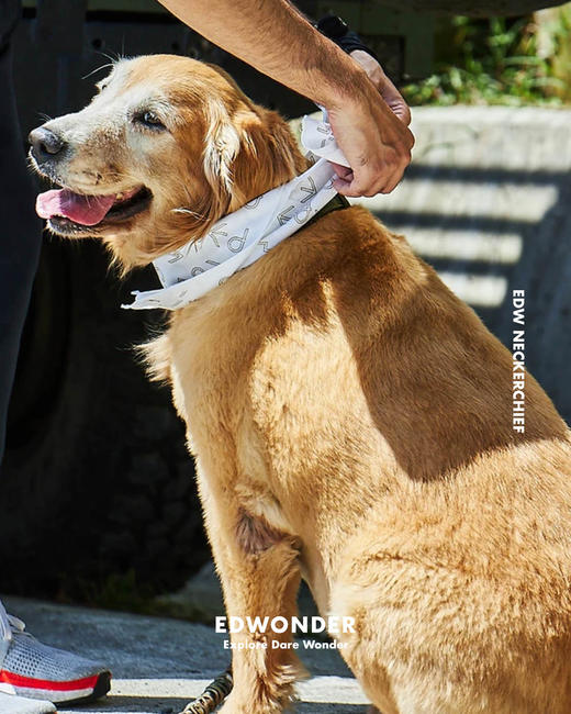 EdW手工印花方巾Neckerchief 商品图5