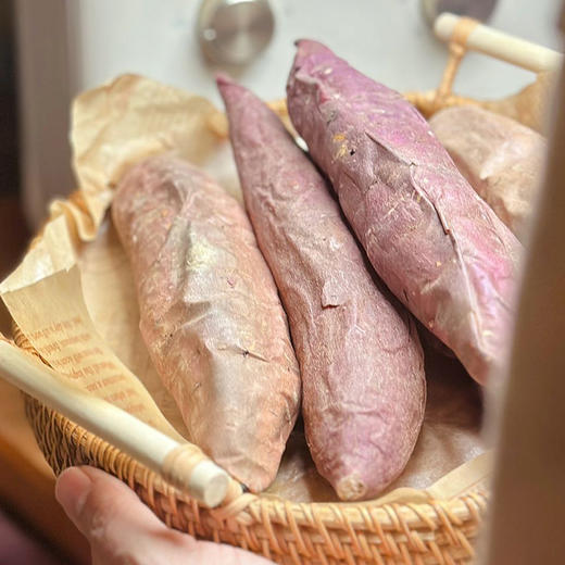 【五色五味 】五拼番薯 番薯组合 烟薯/蜂蜜紫薯/榴莲蜜薯/哈密冰糖薯/红瑶蜜薯 商品图4