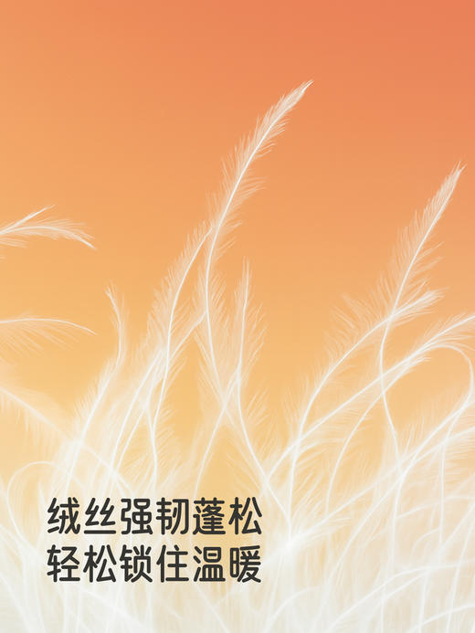 英氏童装羽绒裤小童冬季防寒男童保暖束脚裤子超韧绒YRKCJ4R022A 商品图4