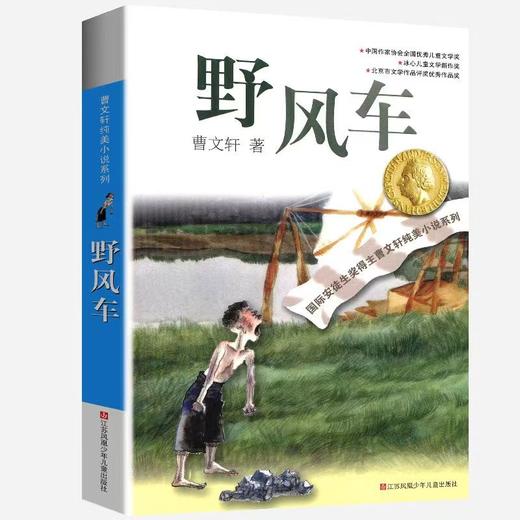 【独家旧书3折】儿童经典文库 野风车 二手书籍（新疆 西藏 甘肃 青海 海南不包邮）bj 商品图0