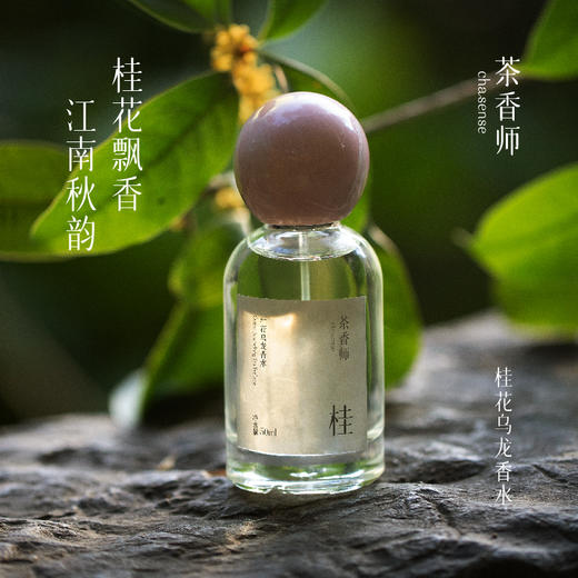 茶香师桂花乌龙香水50ml 商品图1