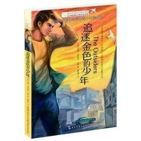 【独家旧书3折】青少年经典文库 追逐金色的少年  二手书籍（新疆 西藏 甘肃 青海 海南不包邮）bj