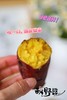 【秋野蜜芋】蜜薯红薯软糯香甜又热量极低 肉质绵密不水，蒸烤出来以后软软糯糯 为人体提供丰富的维生素族群-CC 商品缩略图8