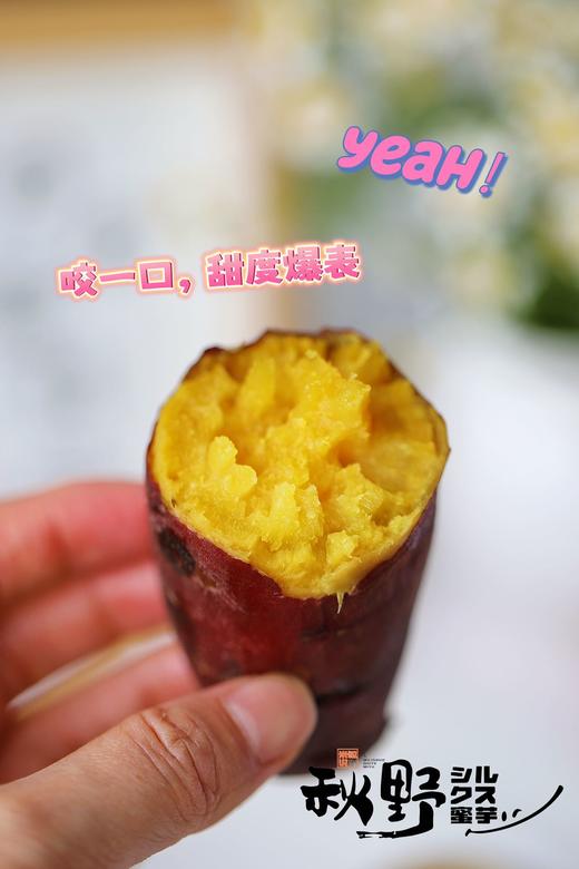 【秋野蜜芋】蜜薯红薯软糯香甜又热量极低 肉质绵密不水，蒸烤出来以后软软糯糯 为人体提供丰富的维生素族群-CC 商品图8