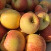 烟台生态满满苹果 | 合作生产 | 基地直发*Ecological abundance of apples 商品缩略图1
