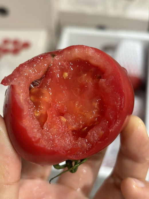 野番茄🍅味道浓郁鲜甜 回味超好！有机种植！有机水肥，做到0激素0残留，好吃更健康～ 商品图1