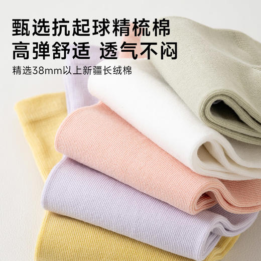 女士香薰中筒袜（素色） 商品图3