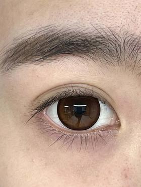 Jumicon 半年抛 曼丁蜜橘 直径14.5mm 