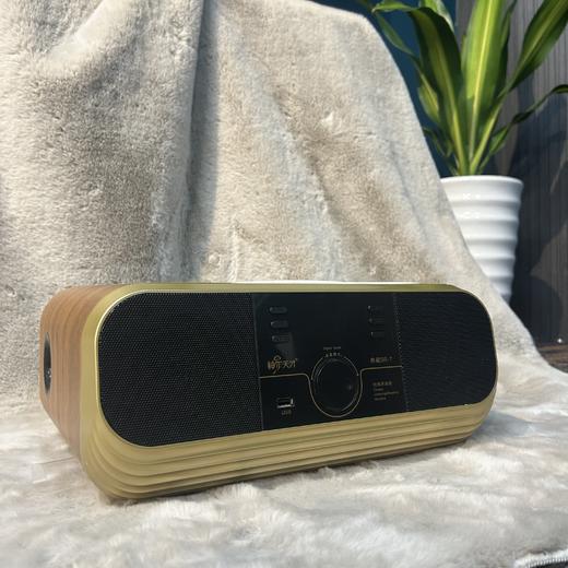 神尔天才 典藏版SR-7 内含3016项正版国学内容 复古原木HIFI桌面国学音响 经典听读机 商品图4