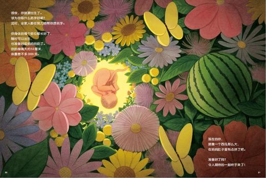 《你在妈妈肚子里的时候》精装一册  3-8岁   和孩子一起回顾不可思议又令人期待的10个月 入选探照灯童书榜5月十大翻译童书和绘本（2025年）和《父母必读》2025年童书排行榜暑期书单 商品图2